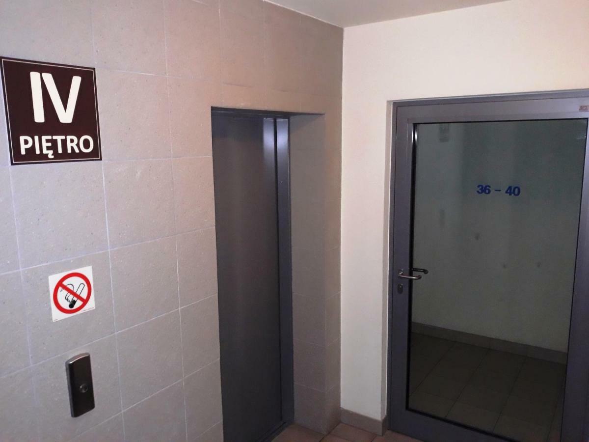 Apartament Fiolet